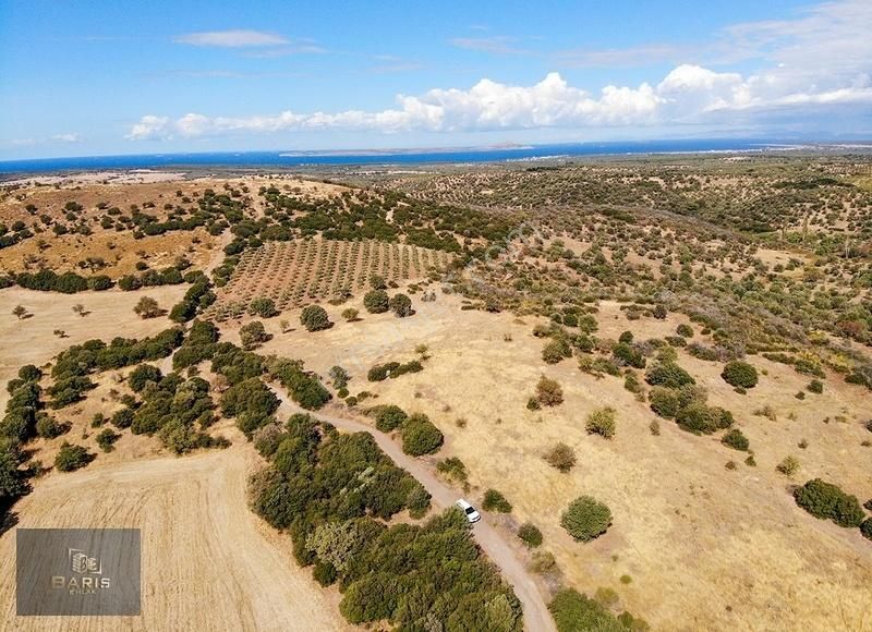 Ezine Kemallı Köyünde Satılık Tarla - Görsel 25