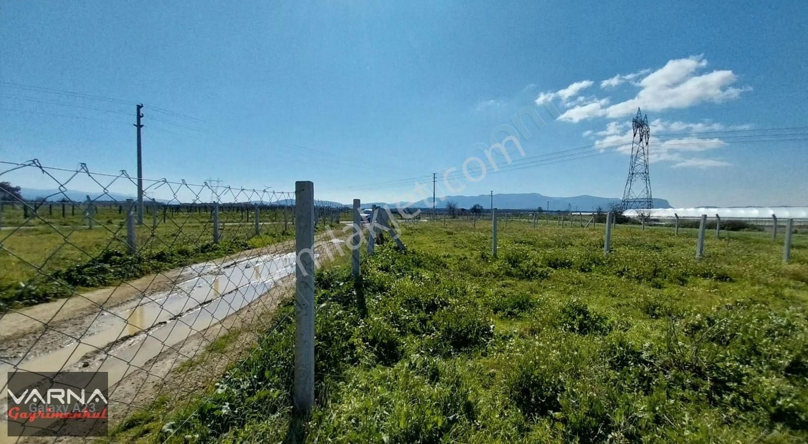 İzmir Menderes Develi Akçaalan Mevkiğinde 450 M2 Bahçe - Görsel 3