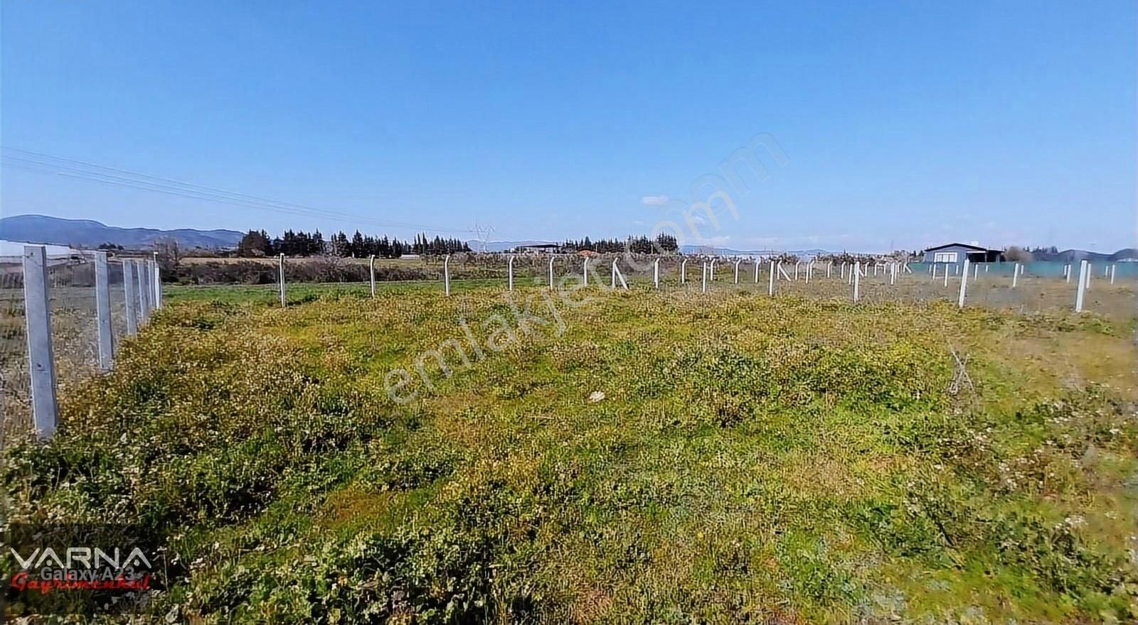 İzmir Menderes Develi Akçaalan Mevkiğinde 450 M2 Bahçe - Görsel 15