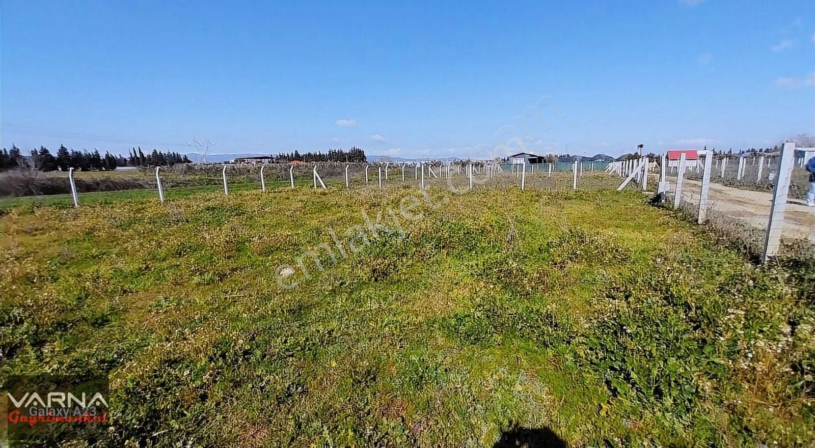 İzmir Menderes Develi Akçaalan Mevkiğinde 450 M2 Bahçe - Görsel 19