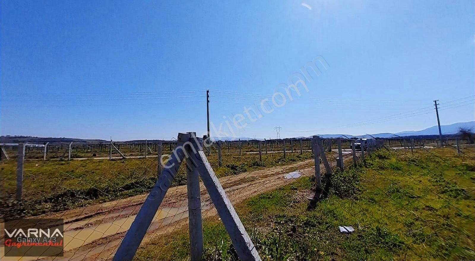 İzmir Menderes Develi Akçaalan Mevkiğinde 450 M2 Bahçe - Görsel 7