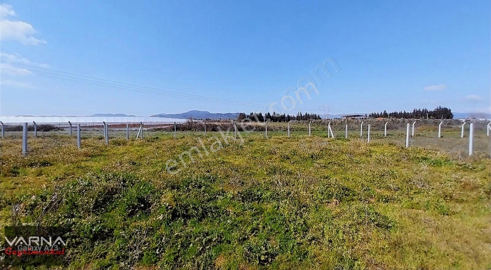 İzmir Menderes Develi Akçaalan Mevkiğinde 450 M2 Bahçe - Görsel 12