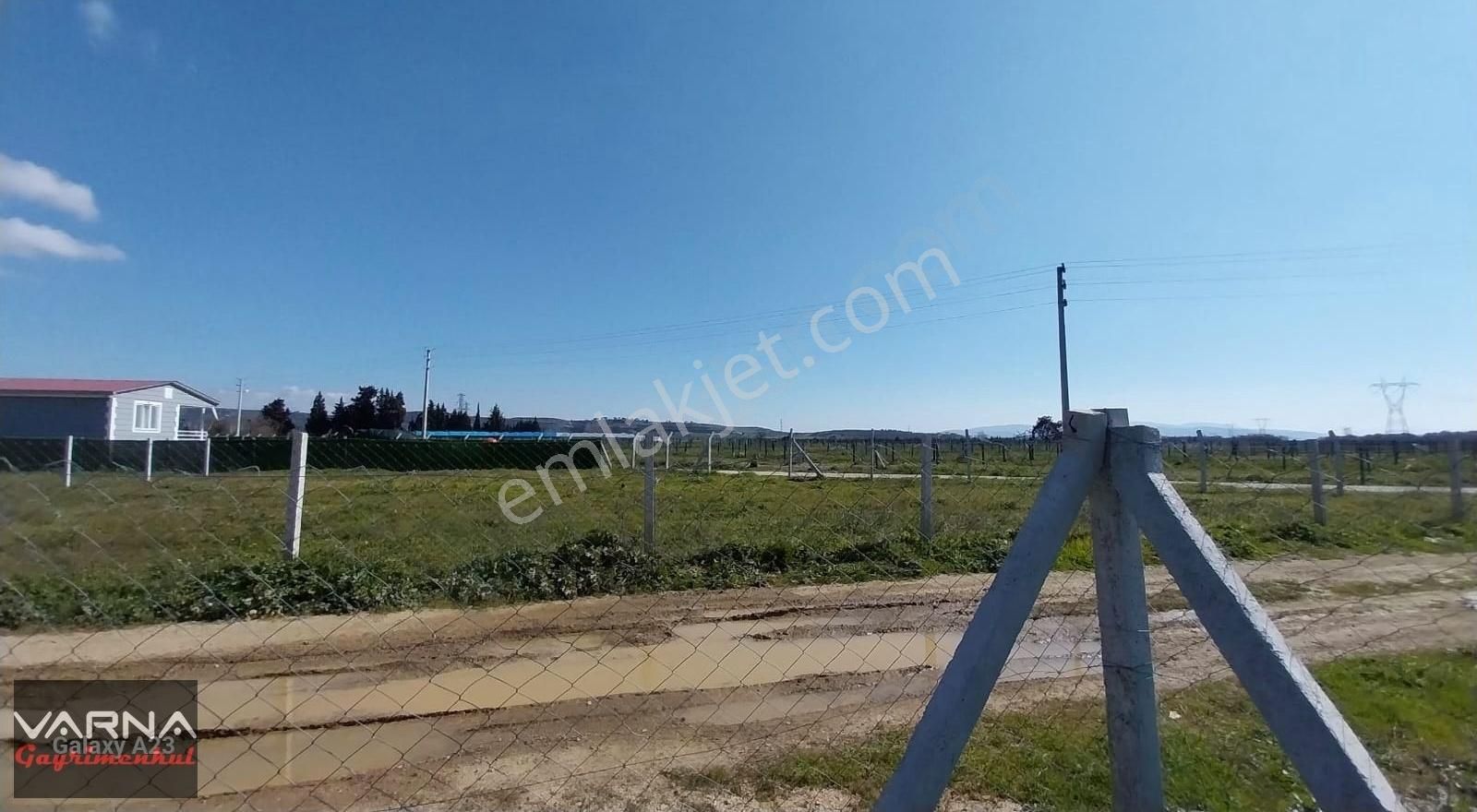 İzmir Menderes Develi Akçaalan Mevkiğinde 450 M2 Bahçe - Görsel 6