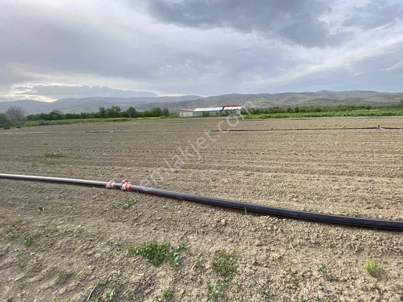 Isparta Senirkent Merkezine Çok Yakın Verimli Satılık Tarla - Görsel 9