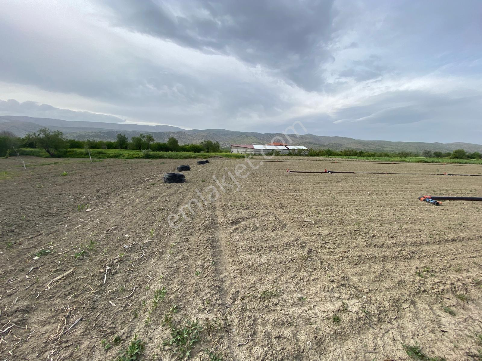 Isparta Senirkent Merkezine Çok Yakın Verimli Satılık Tarla - Görsel 6