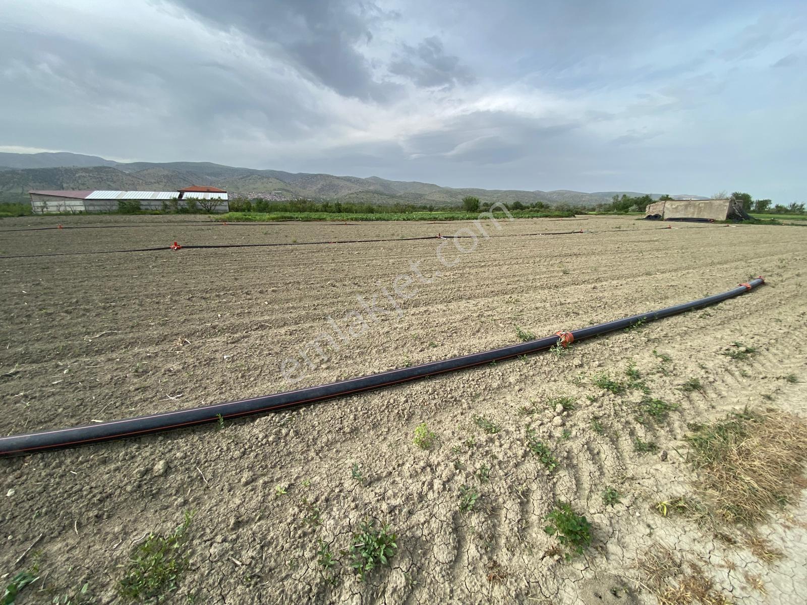 Isparta Senirkent Merkezine Çok Yakın Verimli Satılık Tarla - Görsel 10