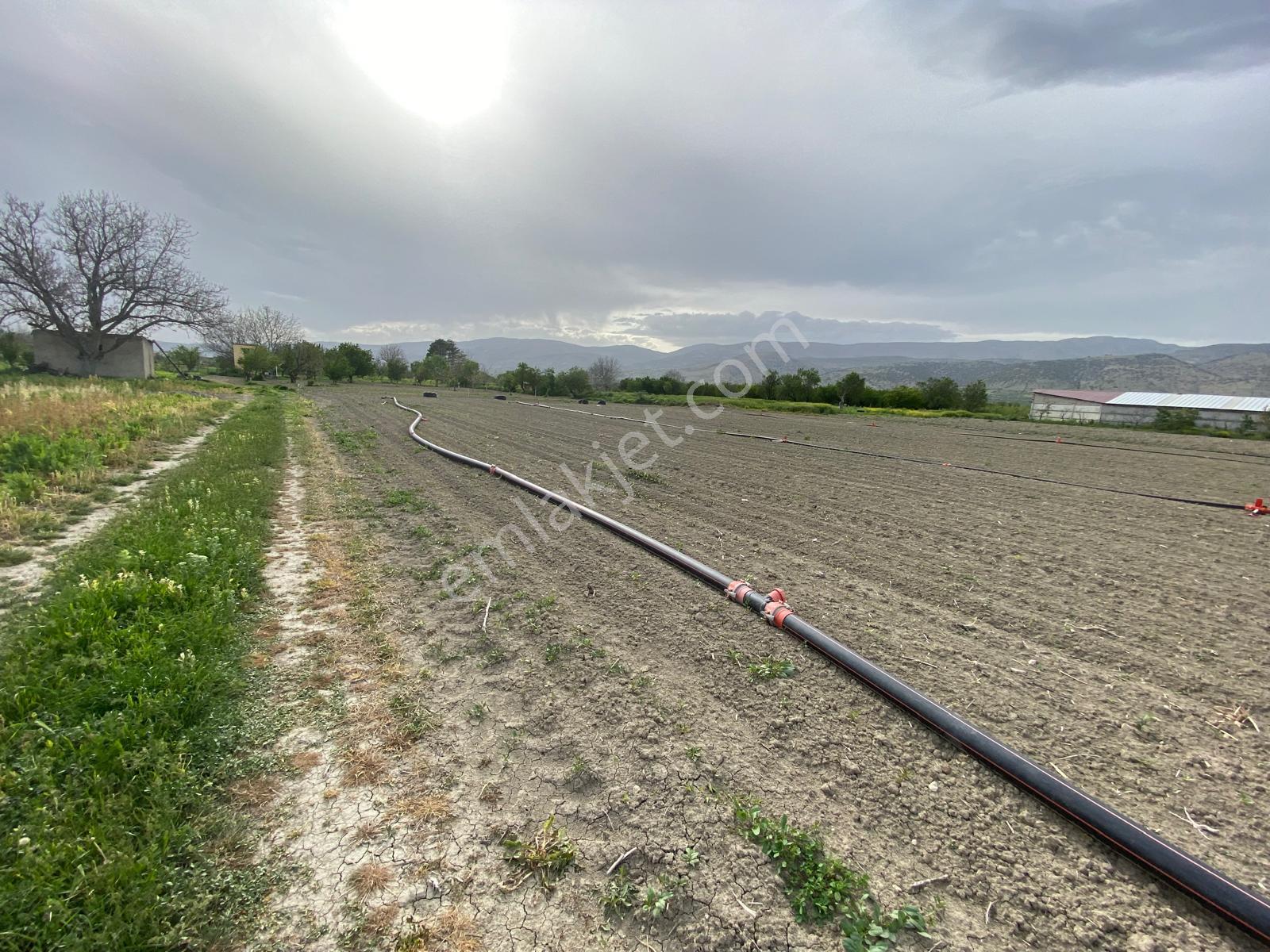 Isparta Senirkent Merkezine Çok Yakın Verimli Satılık Tarla - Görsel 11