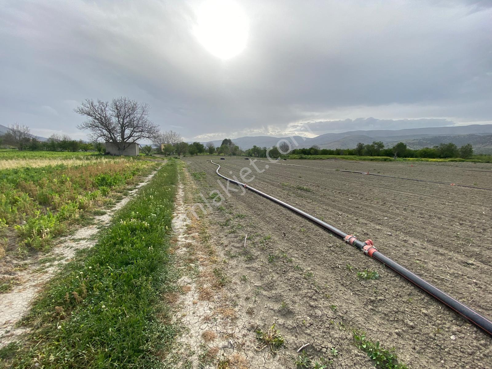 Isparta Senirkent Merkezine Çok Yakın Verimli Satılık Tarla - Görsel 3