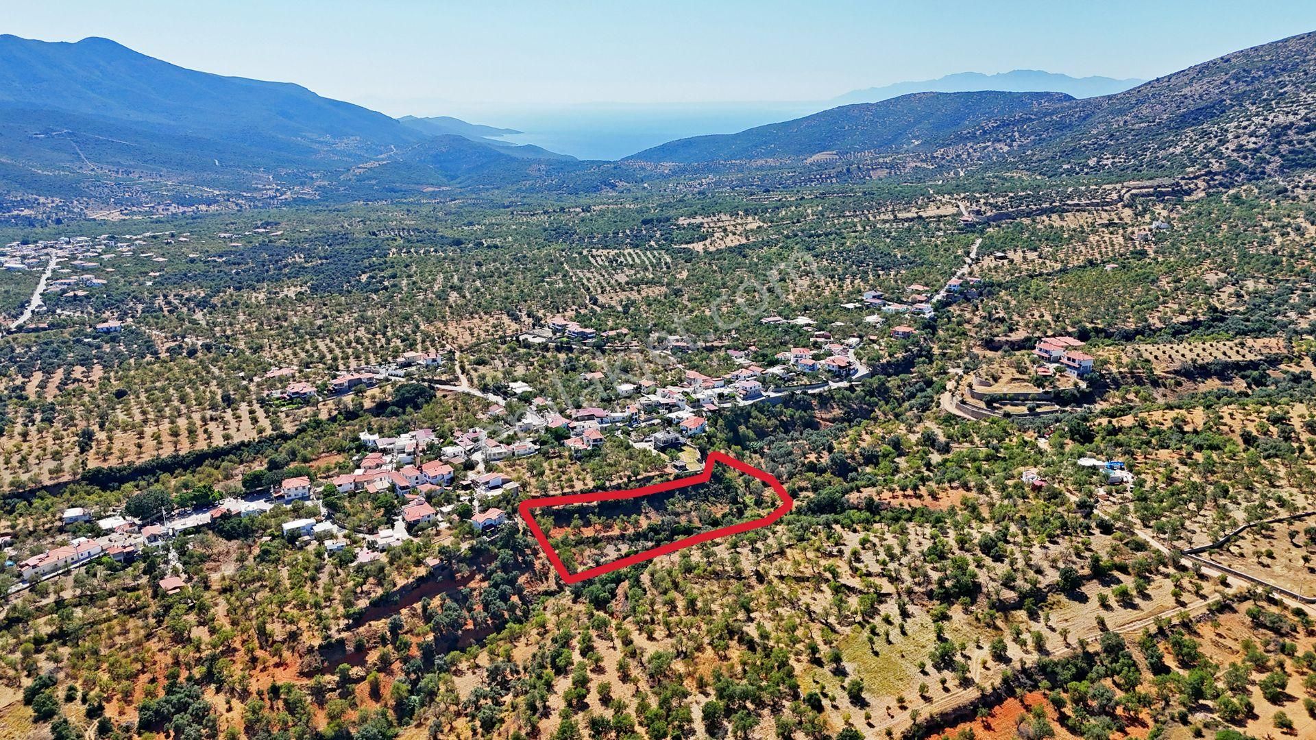 Remax Badem'den Datça Cumalı'da Satılık 1419 M2 Bademlik - Görsel 10