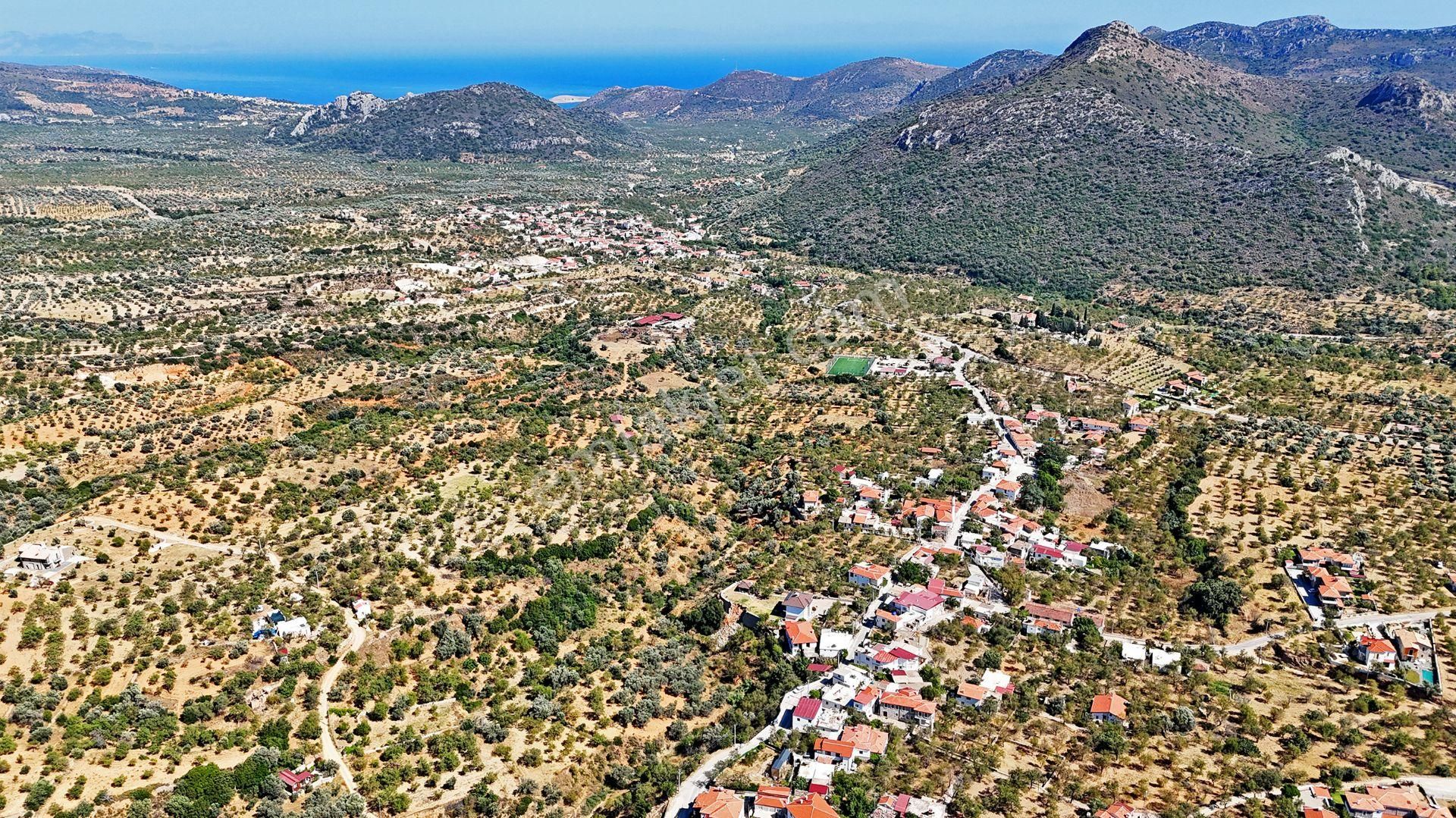 Remax Badem'den Datça Cumalı'da Satılık 1419 M2 Bademlik - Görsel 15