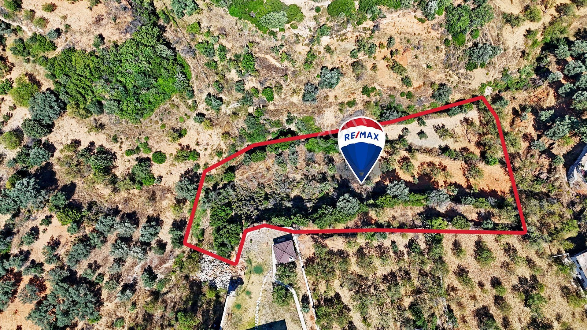 Remax Badem'den Datça Cumalı'da Satılık 1419 M2 Bademlik - Görsel 4