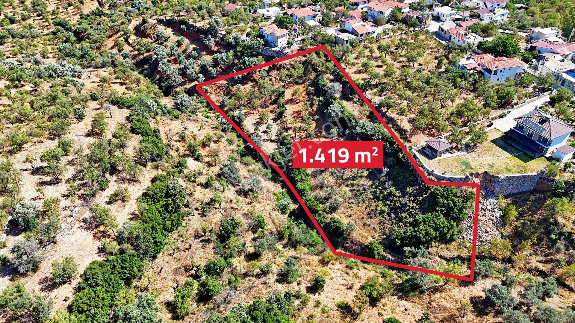 Remax Badem'den Datça Cumalı'da Satılık 1419 M2 Bademlik - Görsel 12