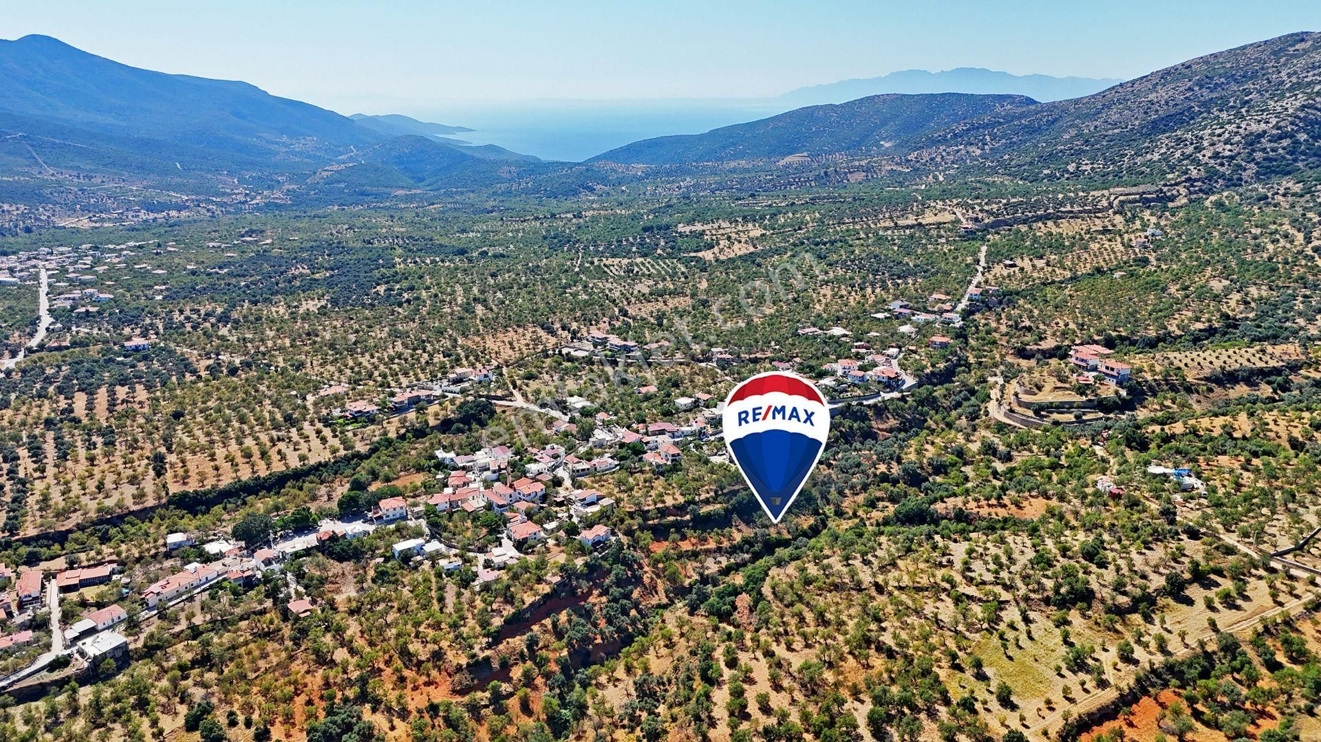 Remax Badem'den Datça Cumalı'da Satılık 1419 M2 Bademlik - Görsel 5