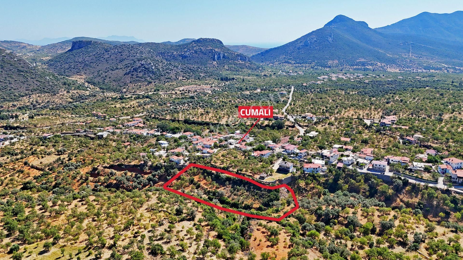 Remax Badem'den Datça Cumalı'da Satılık 1419 M2 Bademlik - Görsel 20