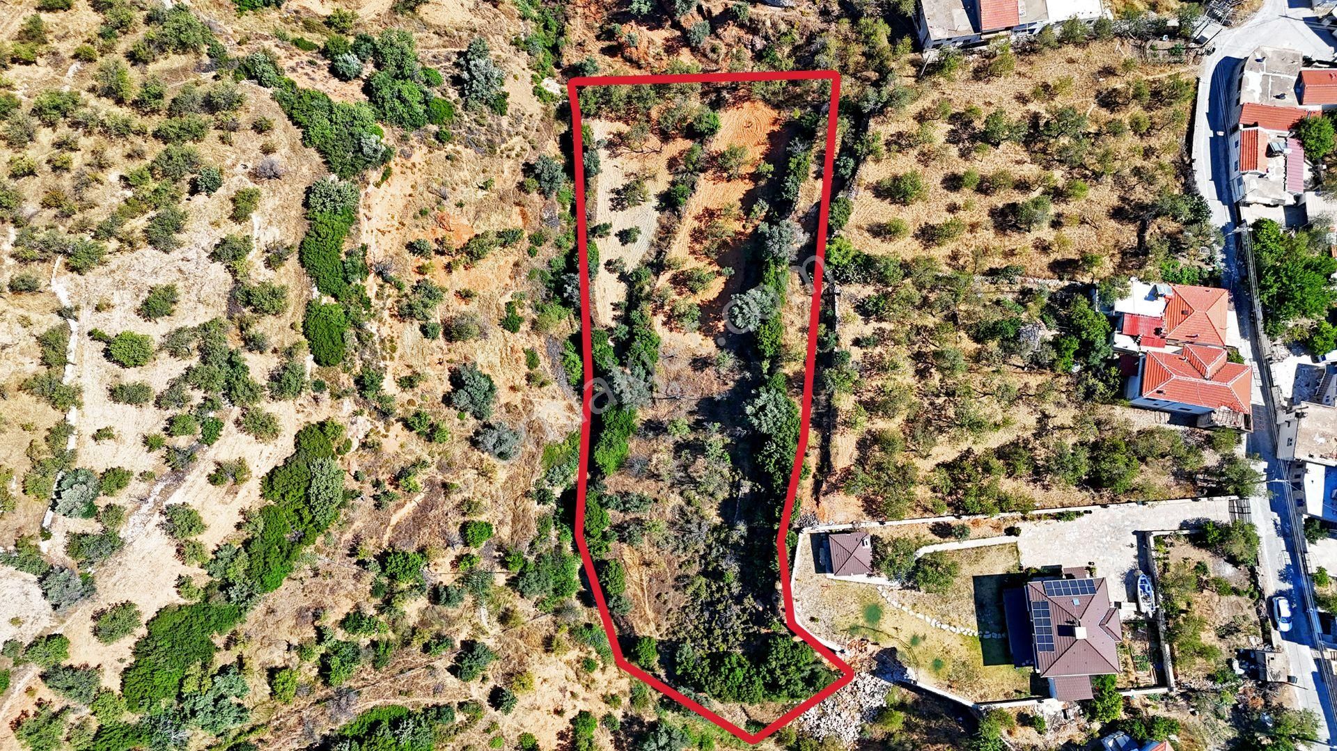 Remax Badem'den Datça Cumalı'da Satılık 1419 M2 Bademlik - Görsel 7