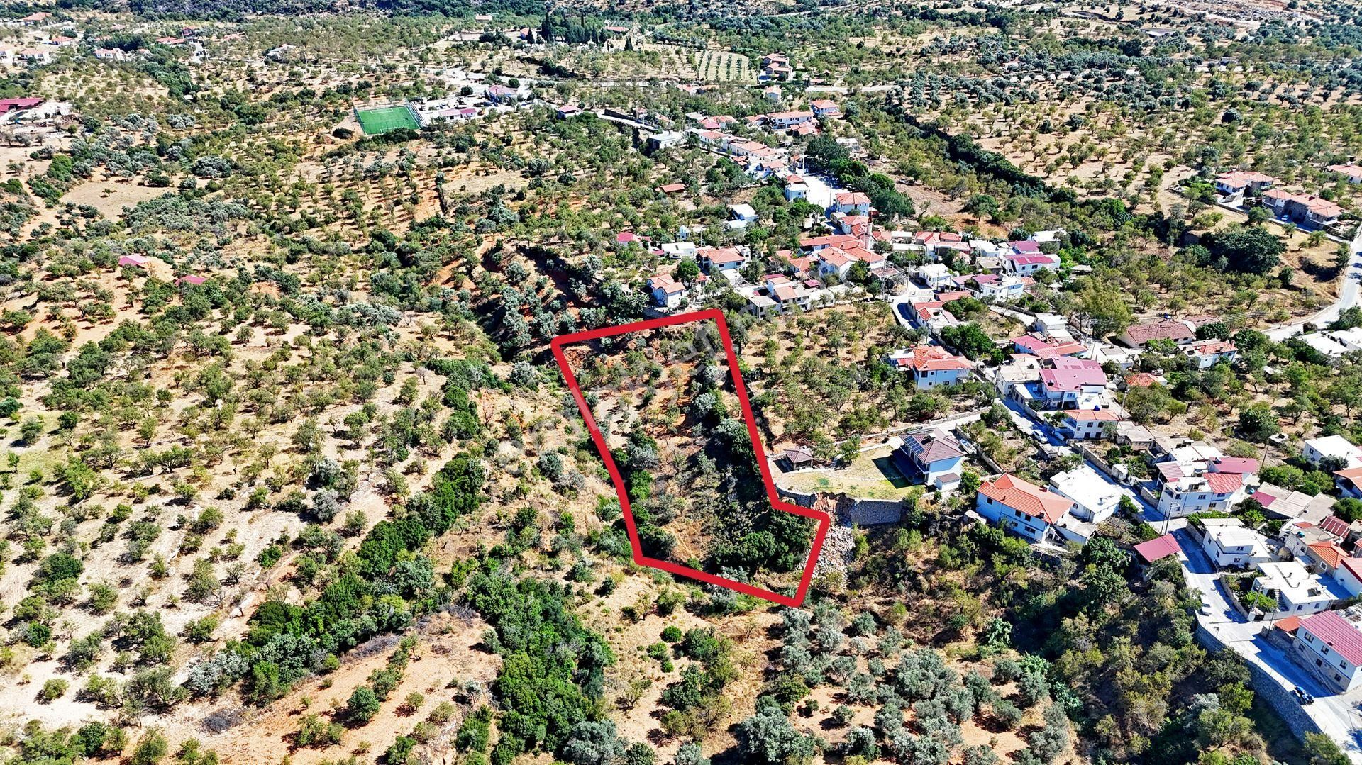 Remax Badem'den Datça Cumalı'da Satılık 1419 M2 Bademlik - Görsel 2