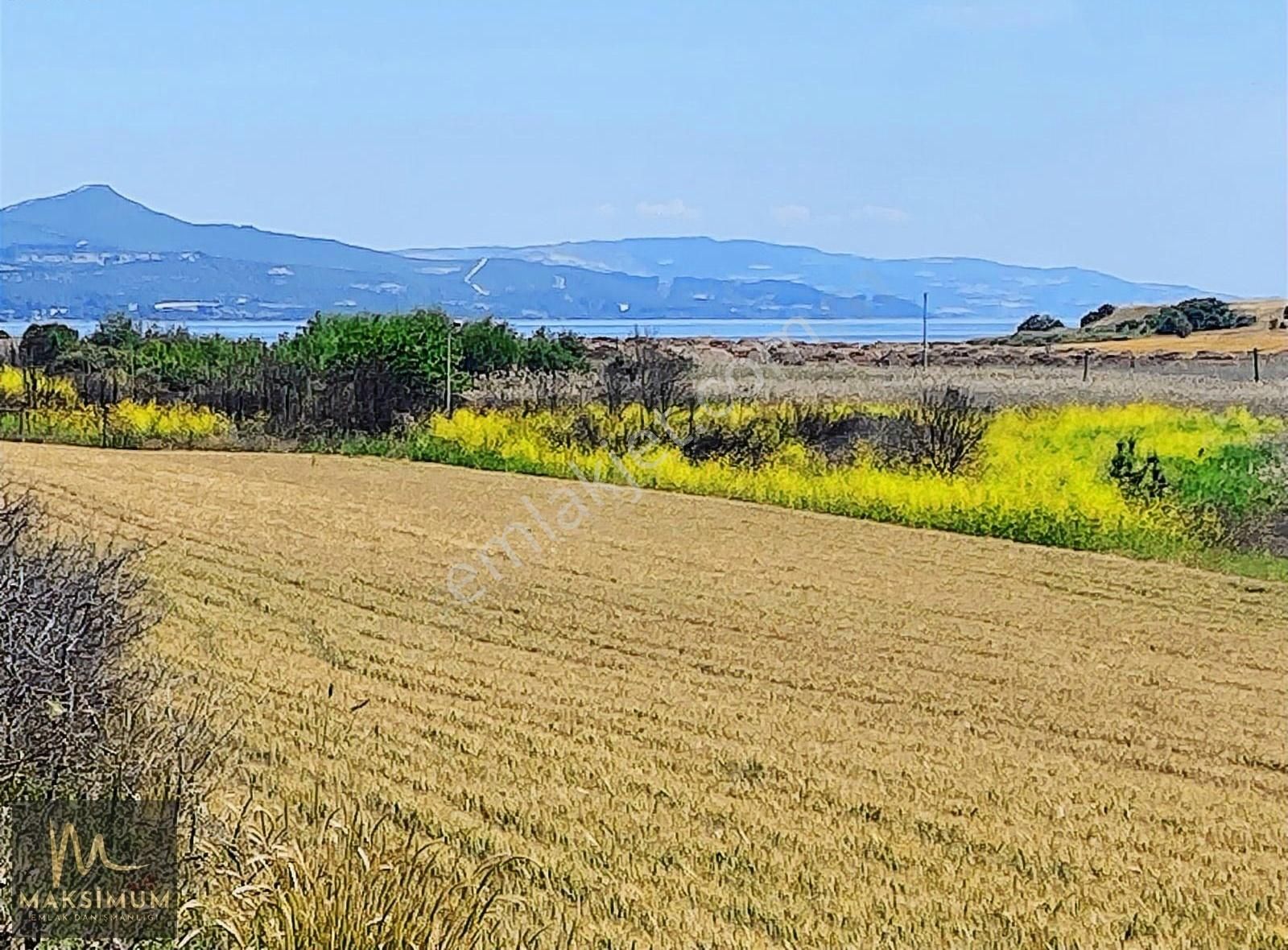 Çanakkale Karacaören Köyü Satılık 9281 M² Tarla