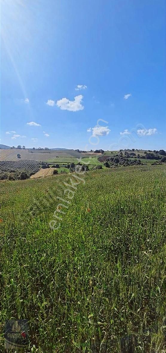 Kandıra Selimköy 6.219 M2 Resmi Yollu Satılık Arazi - Görsel 8