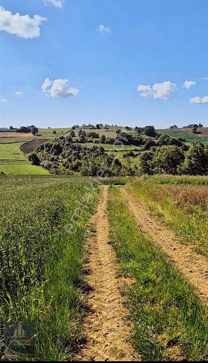 Kandıra Selimköy 6.219 M2 Resmi Yollu Satılık Arazi - Görsel 9