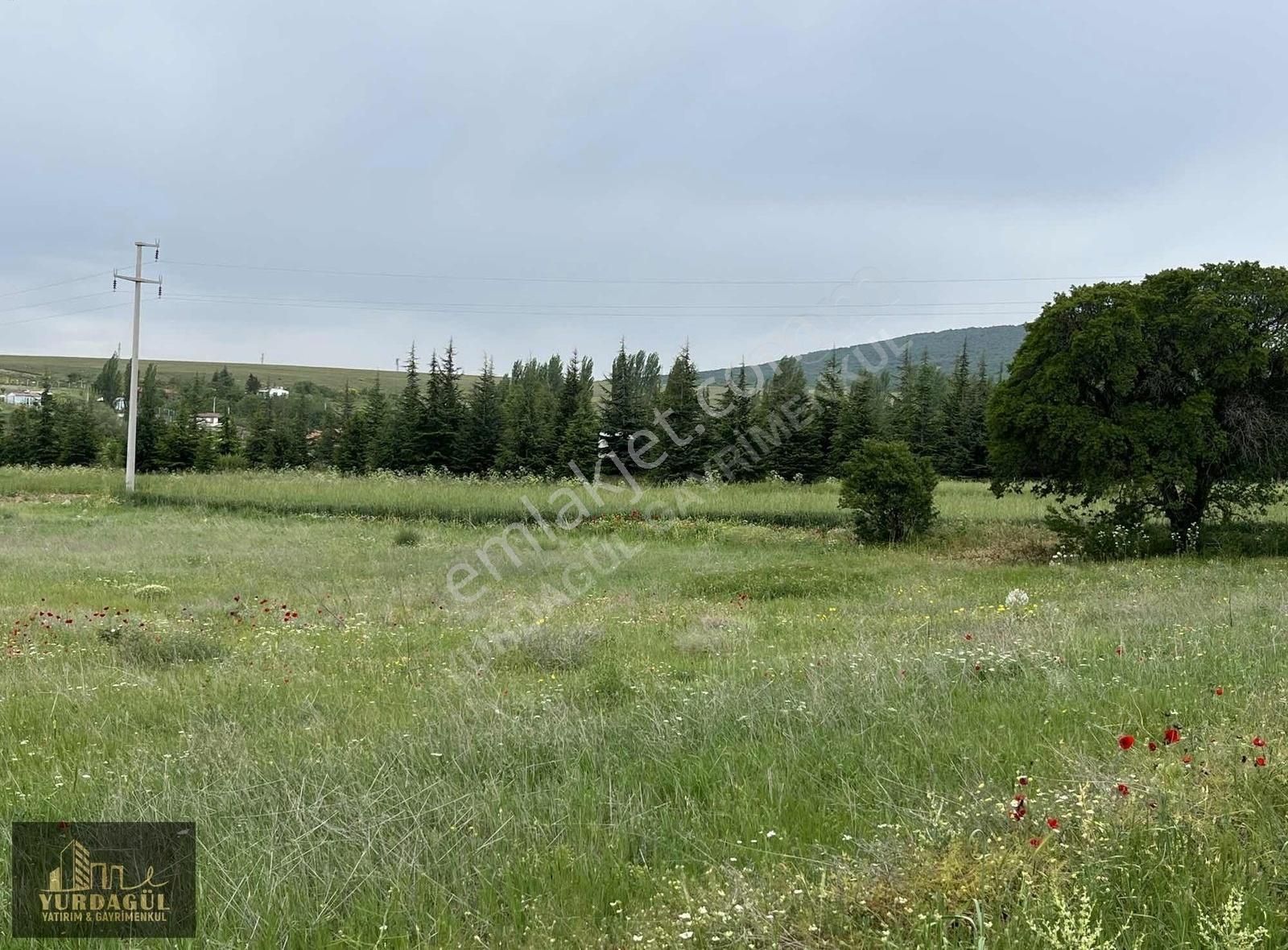 Sarayörende Çevre Yoluna 70 Metre Mesafede Yatırım Fırsatı