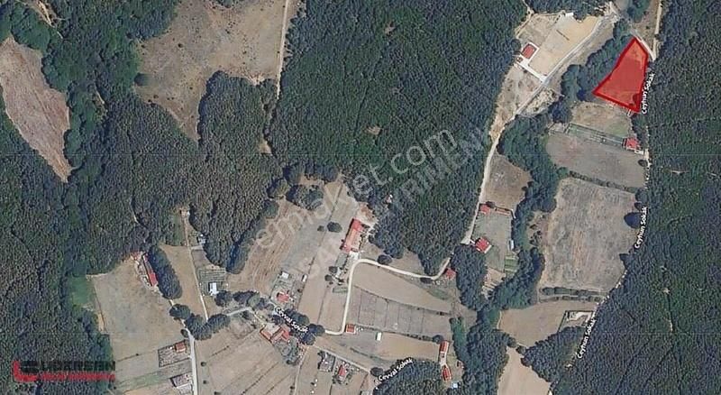 Satılık Çatalca Binkılıç'ta 3027 M² Köşe Parsel Tek Tapu Tarla