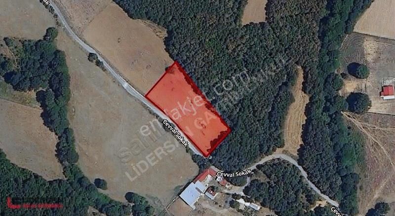 Satılık Çatalca Binkılıç'ta 3893 M² Yol Kenarı Tek Tapu Tarla