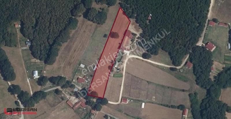 Satılık Çatalca Binkılıç'ta 5015 M² Yol Kenarı Tek Tapu Tarla