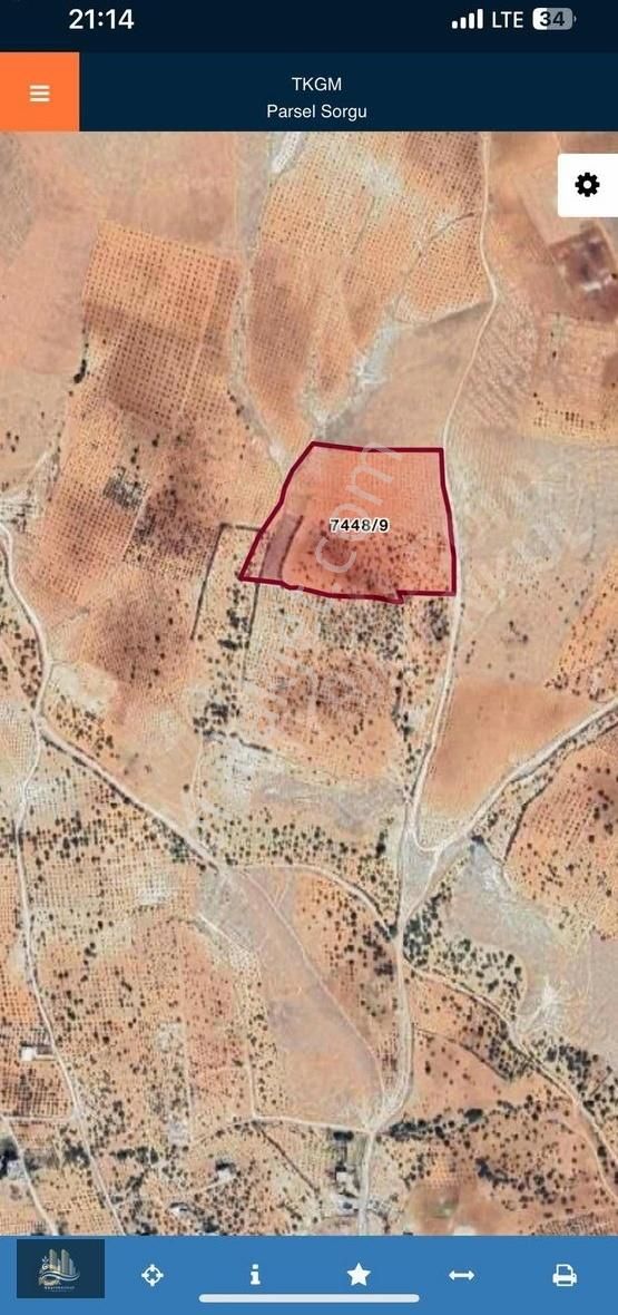 Bilekte Satılık Hisseli Arazi Yeri Belli Yolu Var