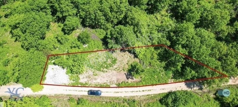 Yc Group'tan Yol Kenarı Orman'a Cephe Satılık Tarla