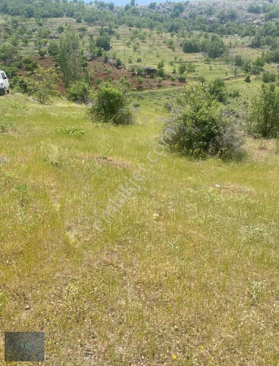 Konya Hadim,alanya 1saat, Şelale Yakın,3555 M2 Geniş Arazi