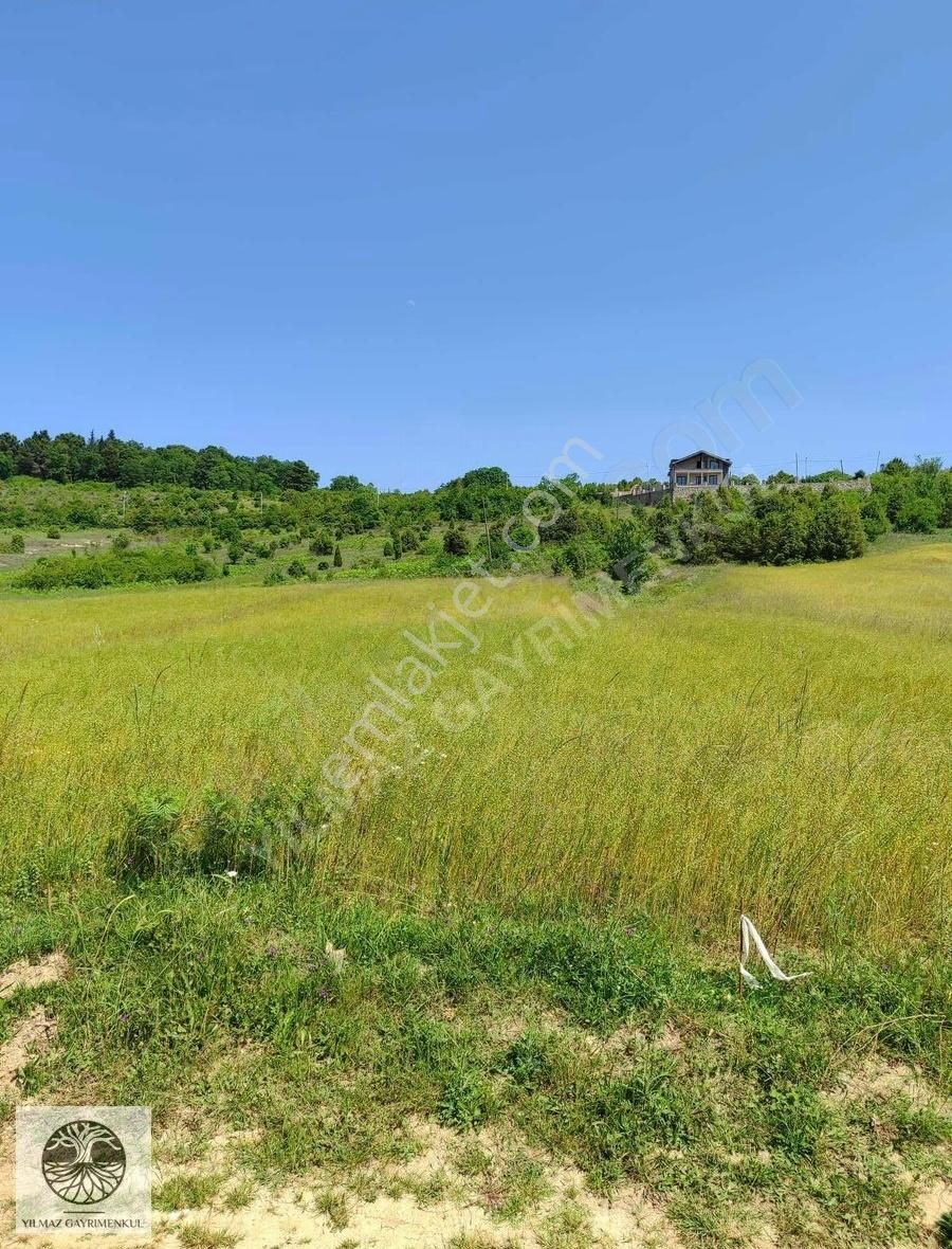 Ağva Bucaklı 423 M2 - Görsel 5