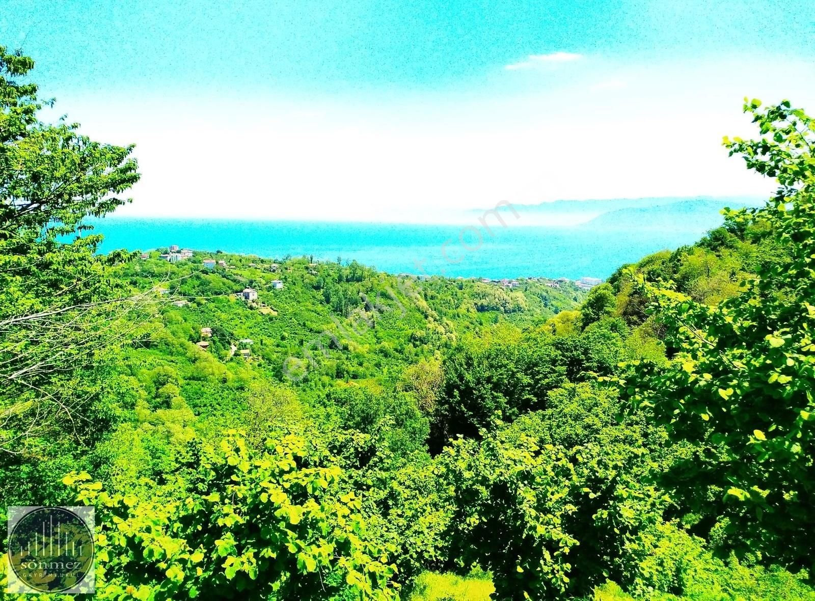 Sönmez'den Perşembe'de Deniz Ve Doğa Manzaralı Satılık Arsa