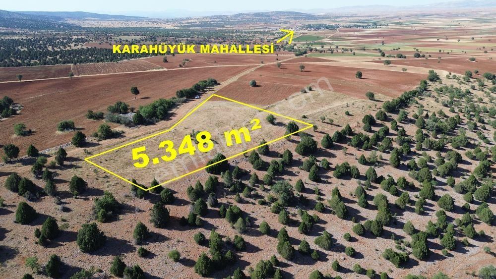 Akören Alanda 5.348 M² Orman İçersinde Müstakil Tapulu Tarla