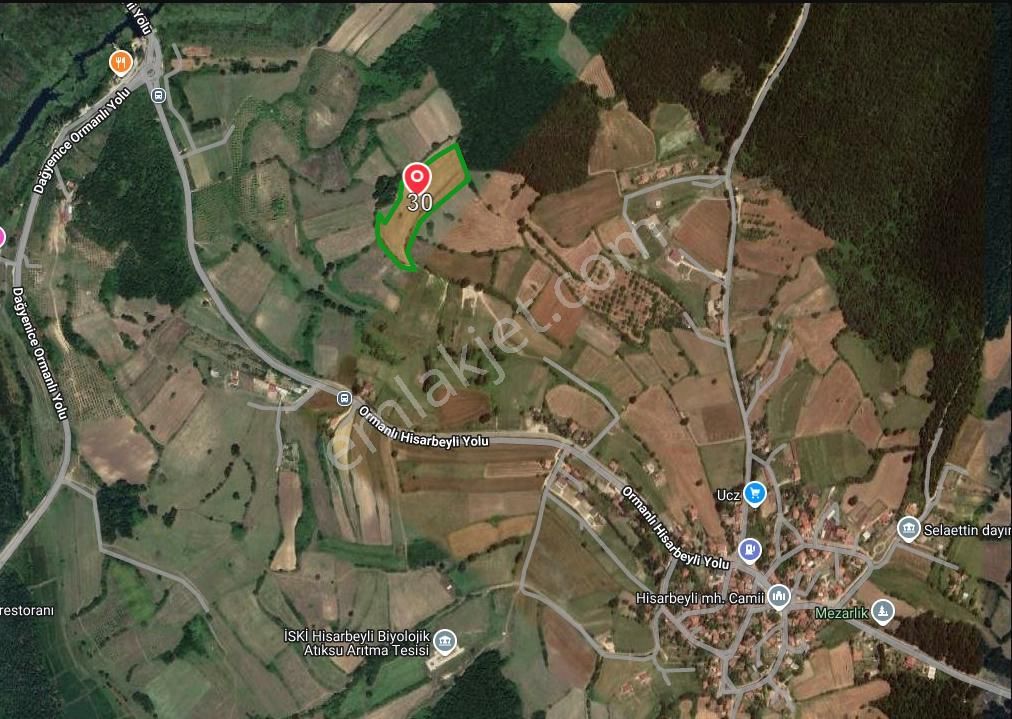 Alırken Kazanmanın Adresi ''fırsat Müzayede'' - Görsel 2