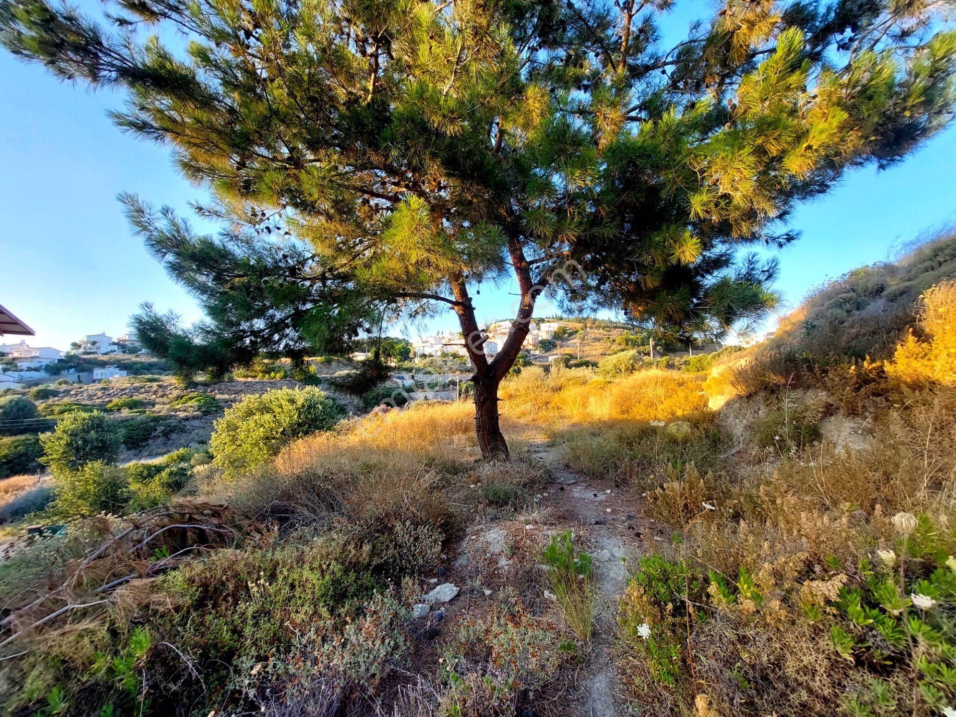 İzmir Seferihisar Doğanbey De Satılık 236 M2 Arsa - Görsel 12