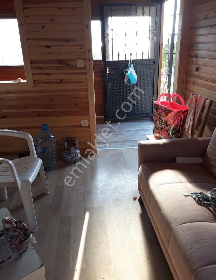 Cide Demirtaş Emlak Güvencesi İle Satılık 2+1 Tiny House - Görsel 17