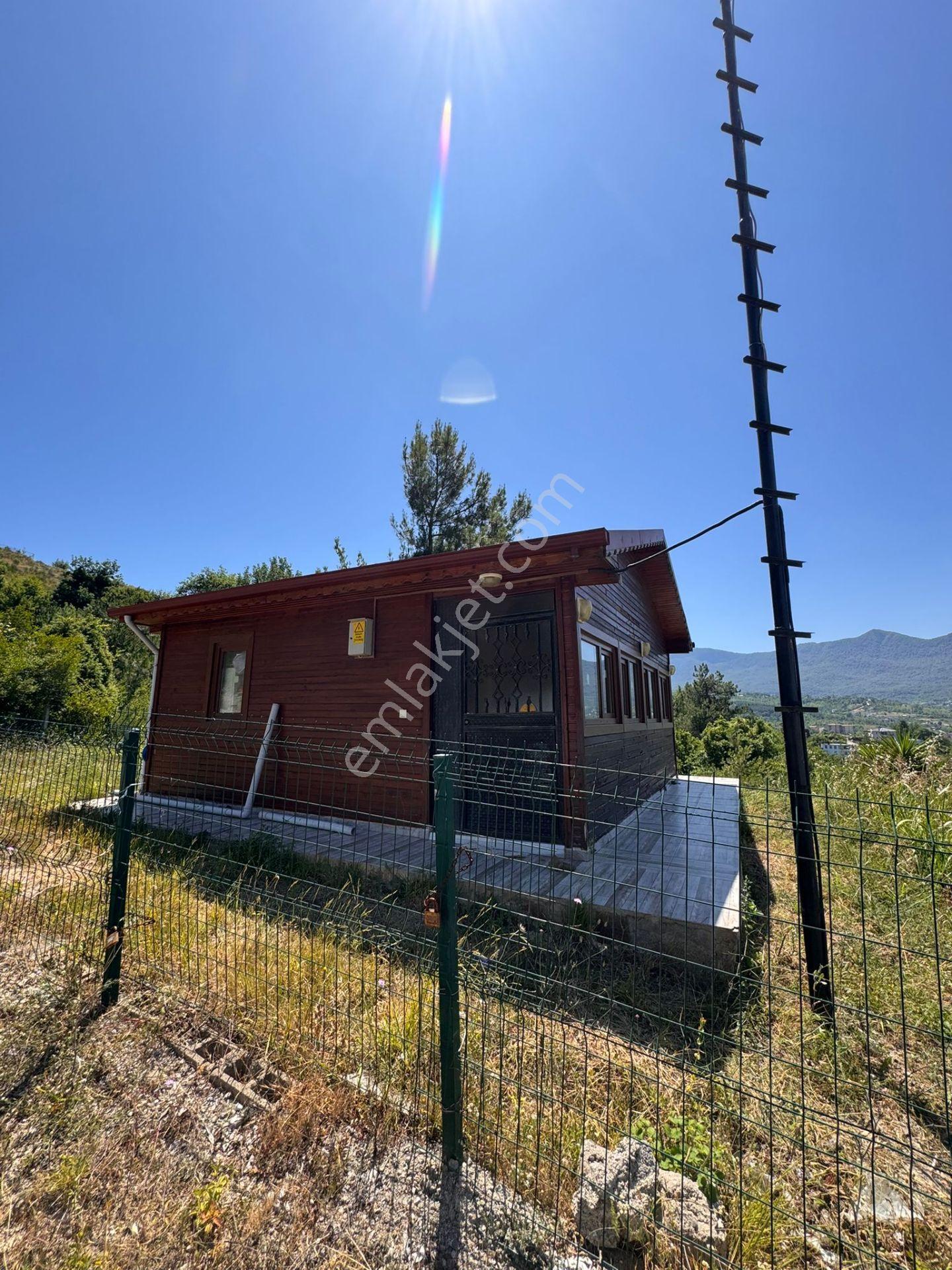 Cide Demirtaş Emlak Güvencesi İle Satılık 2+1 Tiny House - Görsel 5