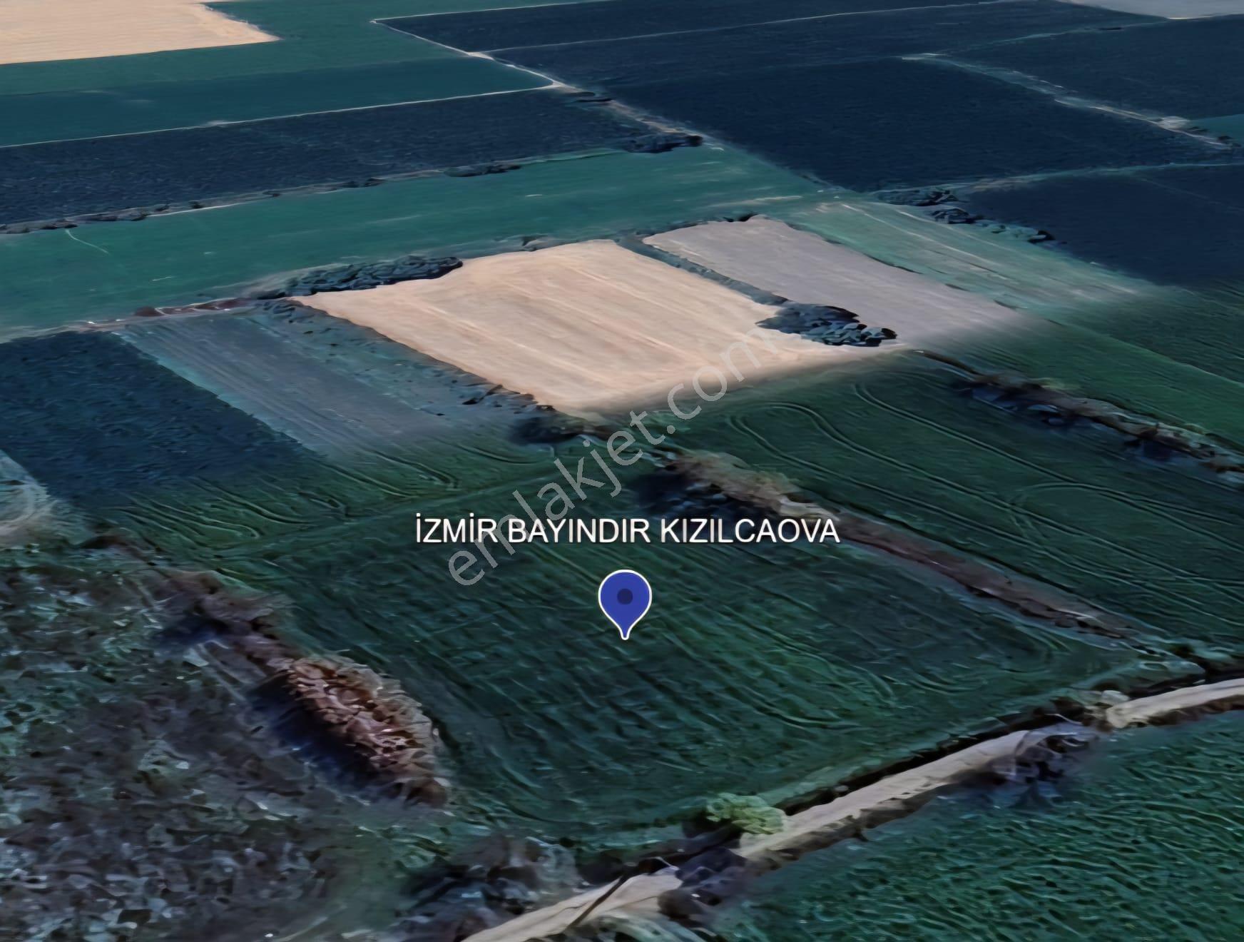 İzmir Bayındır Kızılcaova Da Yatırıma Uygun Verimli Tarla! - Görsel 4