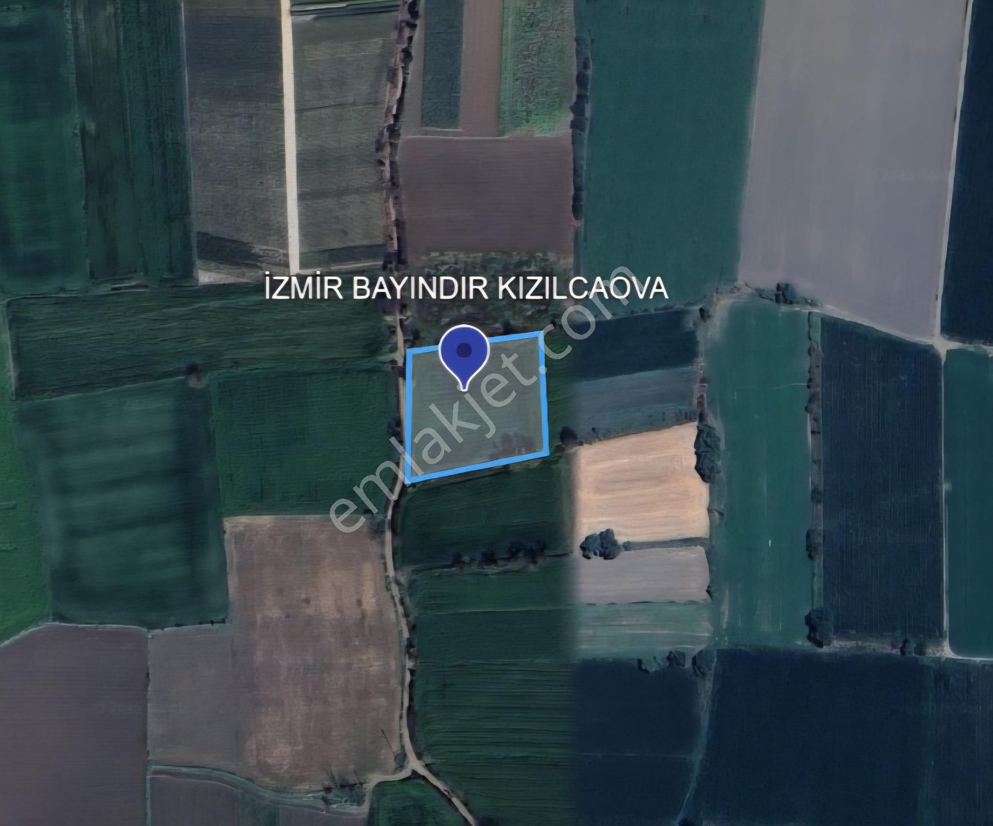 İzmir Bayındır Kızılcaova Da Yatırıma Uygun Verimli Tarla! - Görsel 6