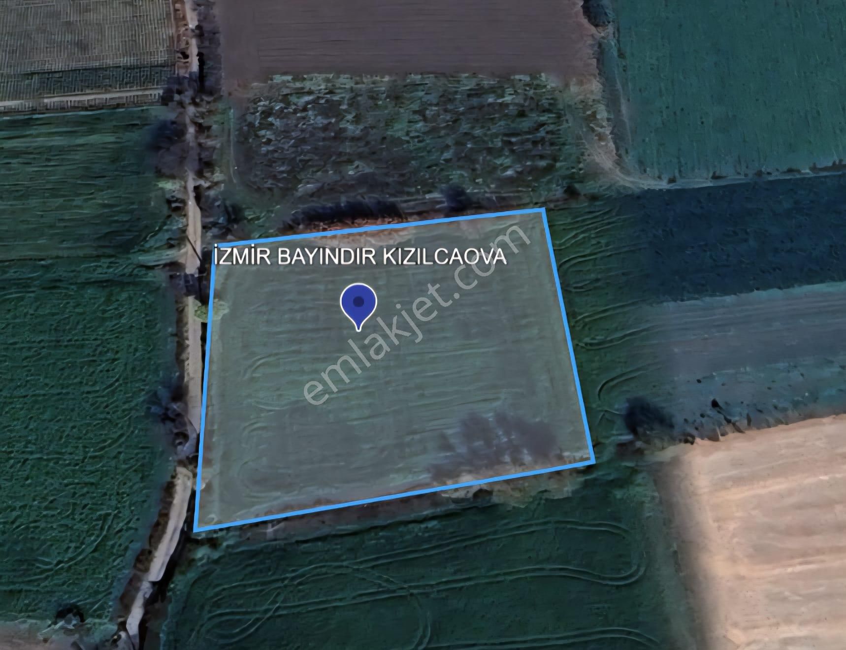 İzmir Bayındır Kızılcaova Da Yatırıma Uygun Verimli Tarla! - Görsel 5