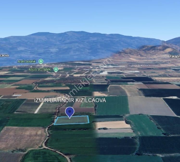 İzmir Bayındır Kızılcaova Da Yatırıma Uygun Verimli Tarla! - Görsel 3