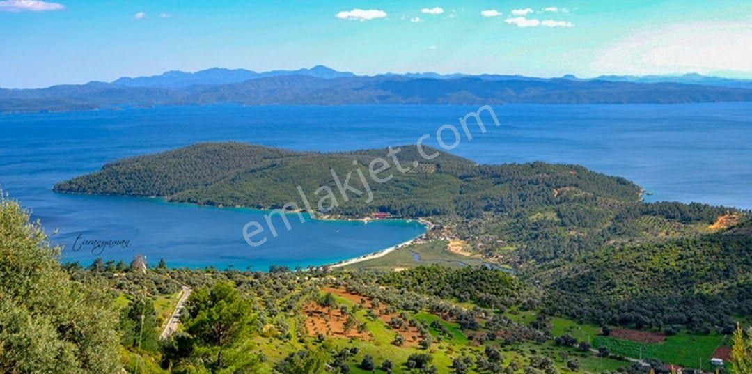 Muğla Akbük Koyuna Yakın 1545 M² Satılık Tarla