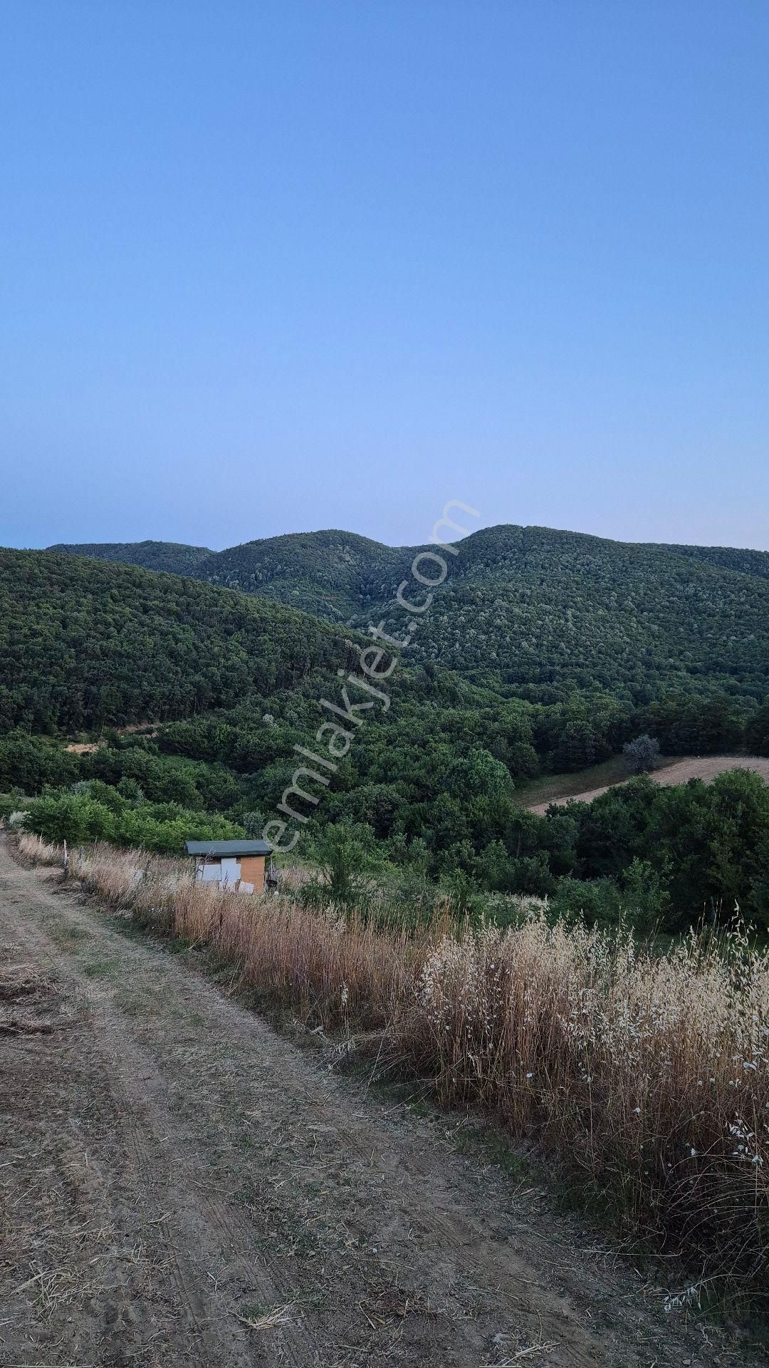 Kocaeli Derince Geredeli De Satılık Tarla