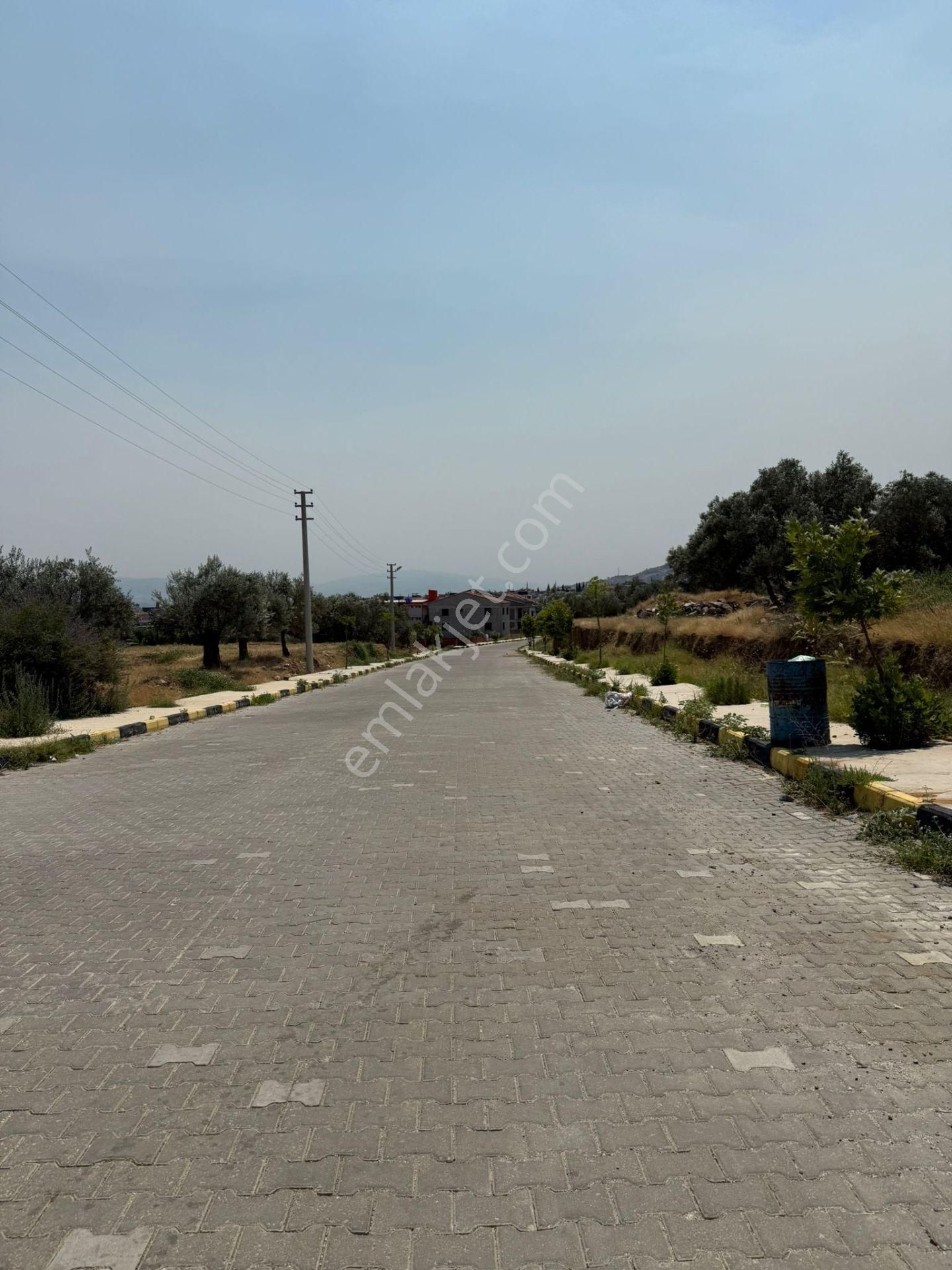 Manisa Alaşehir Alper Gayrimenkulden İmara Çok Yakın Müstakil 2.761m2 Zeytinlik - Görsel 15