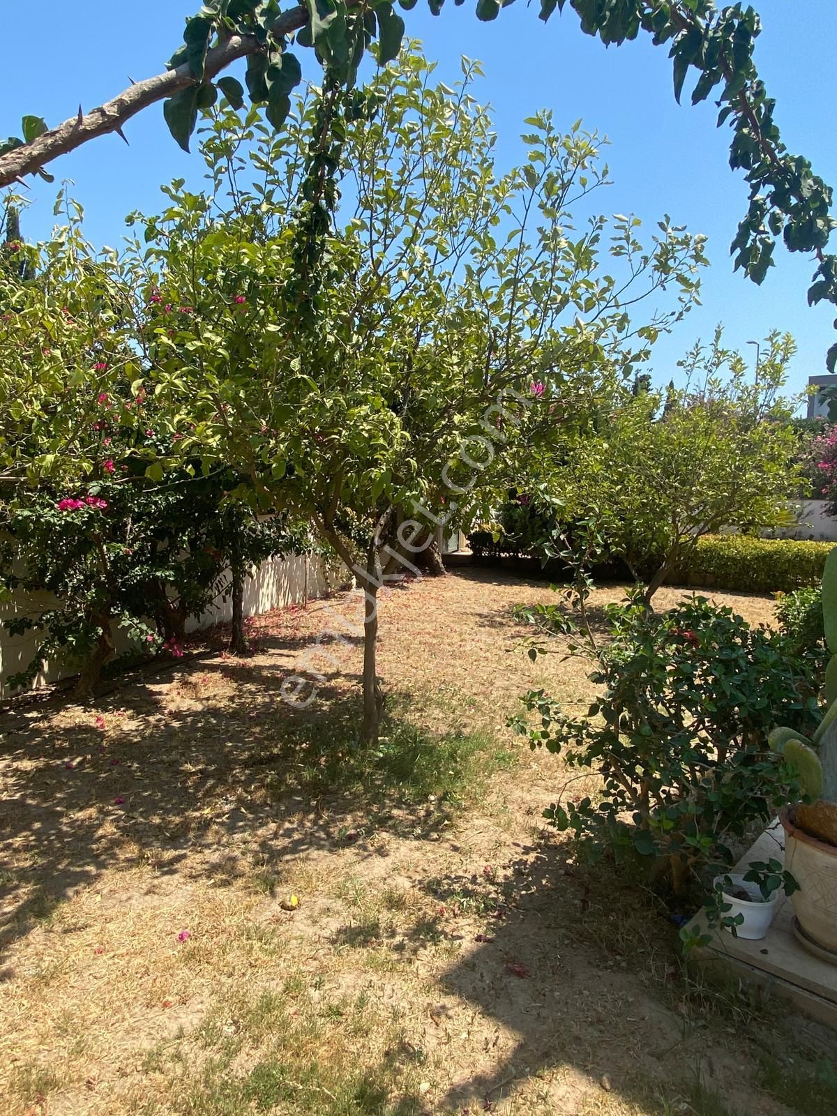 Bodrum Torba Havuzlu Site İçinde Bahçe Kat Daire - Görsel 7