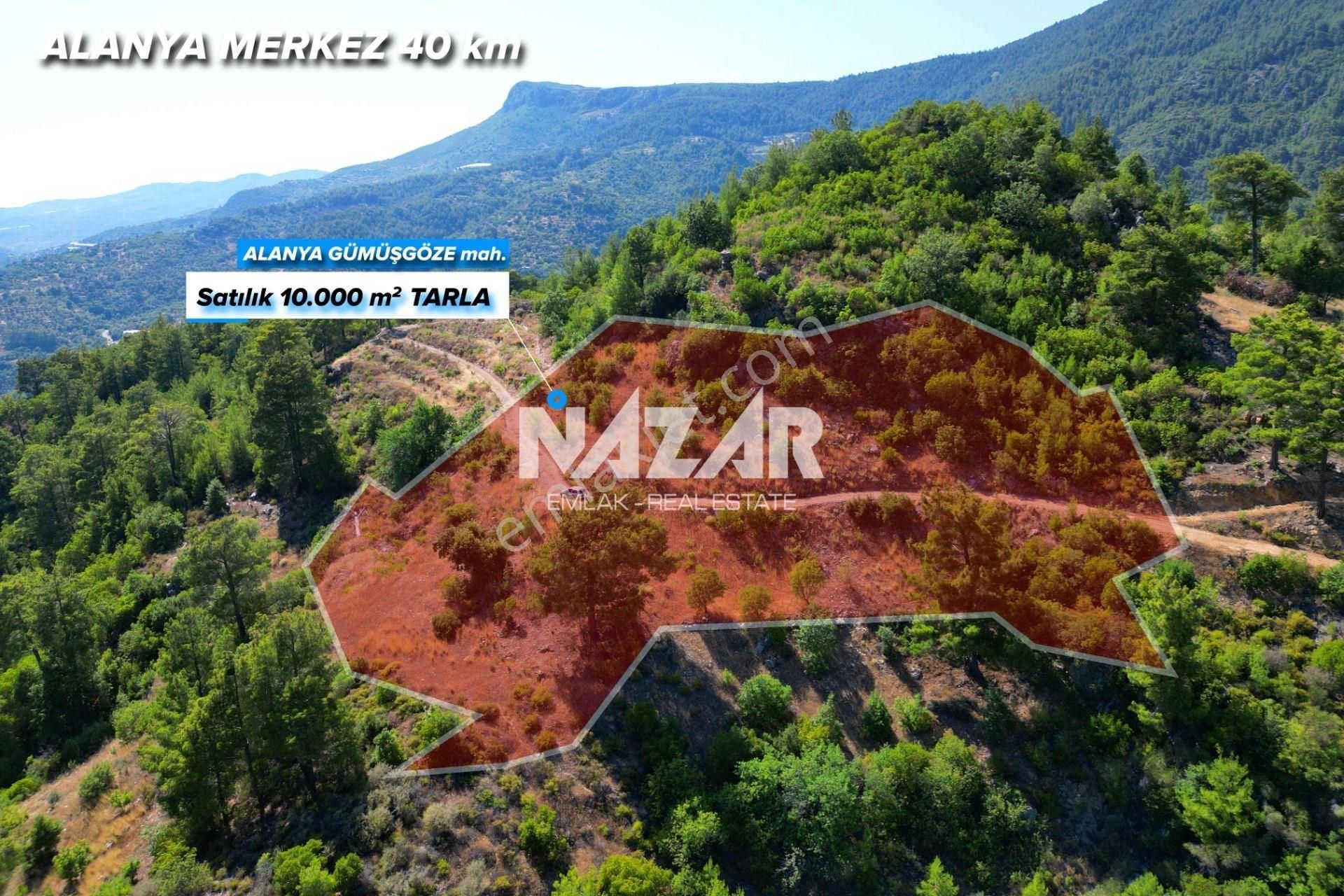 Alanya Gümüşgöze'de Satılık 10.000 M² Tarla - Görsel 2