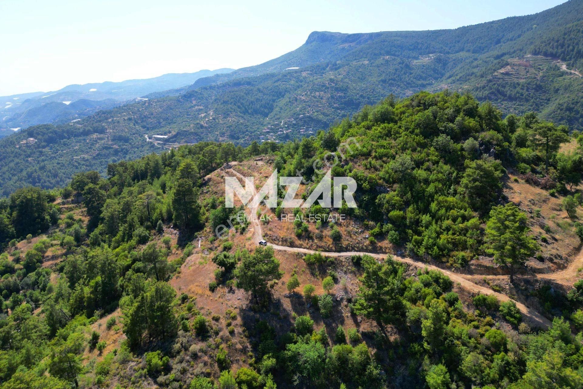 Alanya Gümüşgöze'de Satılık 10.000 M² Tarla - Görsel 12