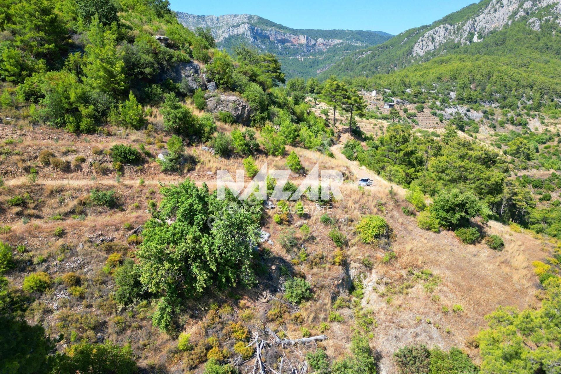 Alanya Gümüşgöze'de Satılık 10.000 M² Tarla - Görsel 7