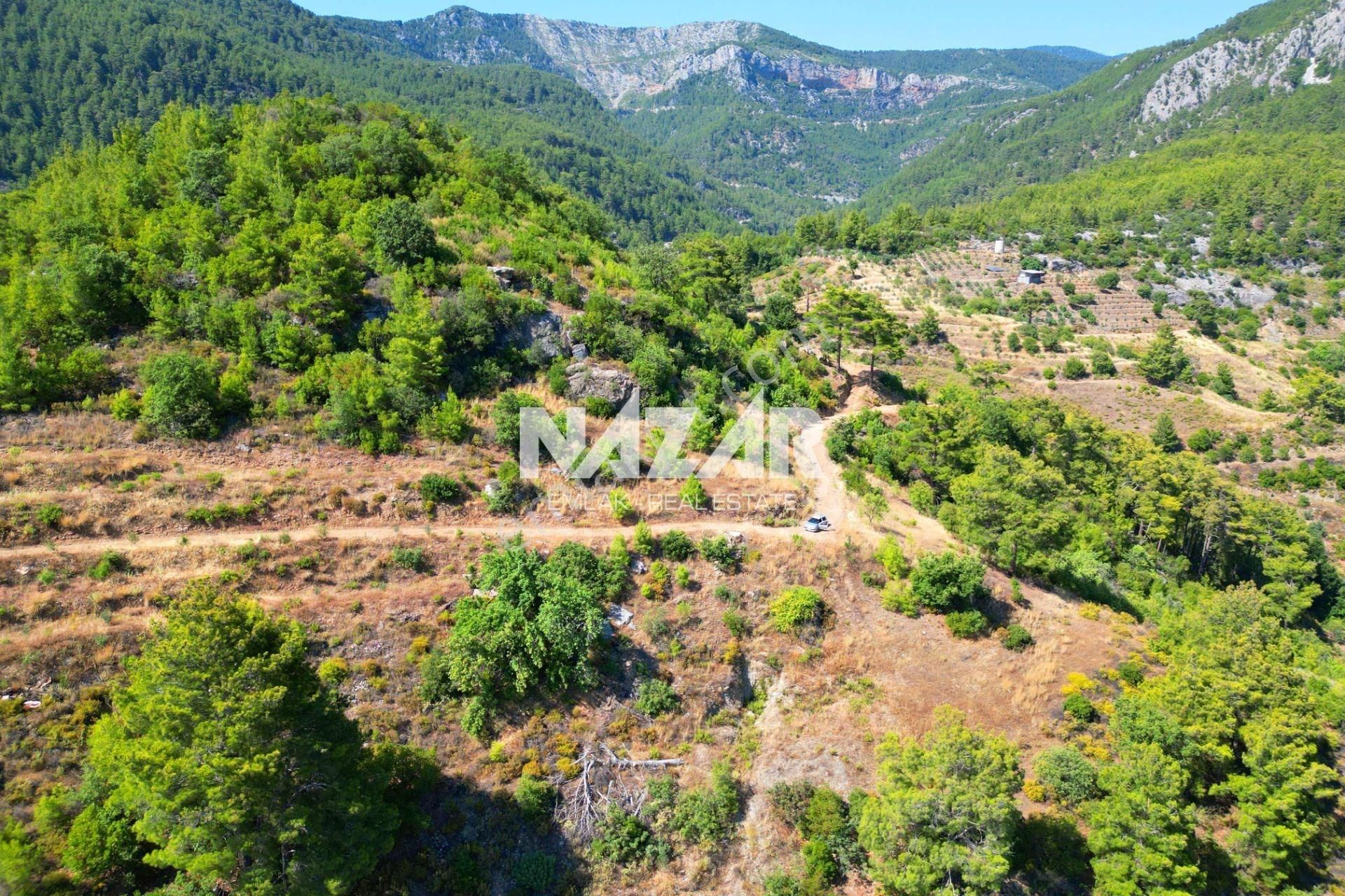 Alanya Gümüşgöze'de Satılık 10.000 M² Tarla - Görsel 8