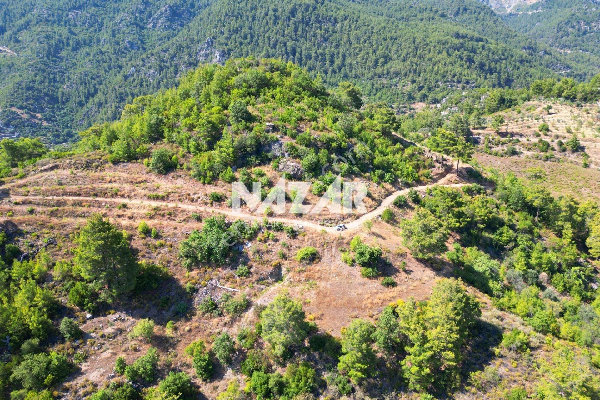 Alanya Gümüşgöze'de Satılık 10.000 M² Tarla - Görsel 4